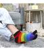 3 Pack Mens Ladies Rainbow Trainer Cotton Socks Bright Colourful Striped Socks-5