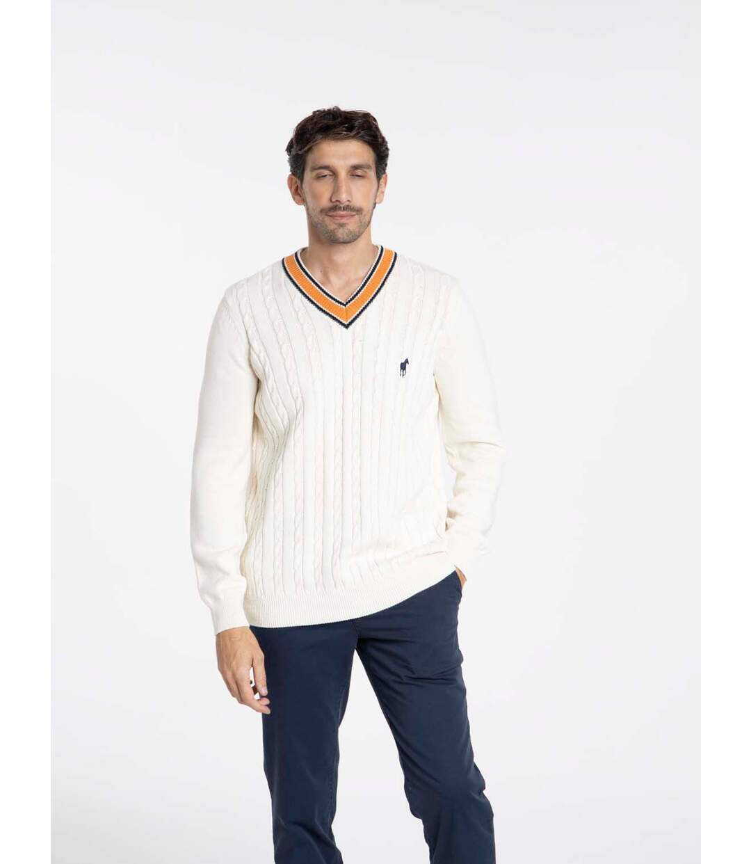 Pulls col v  en coton PAULIN