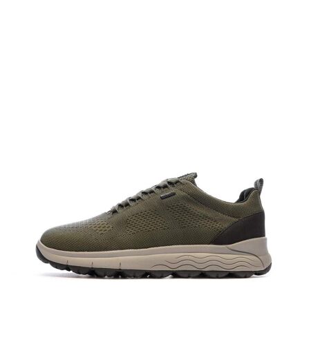 Baskets kaki homme geox sepherica