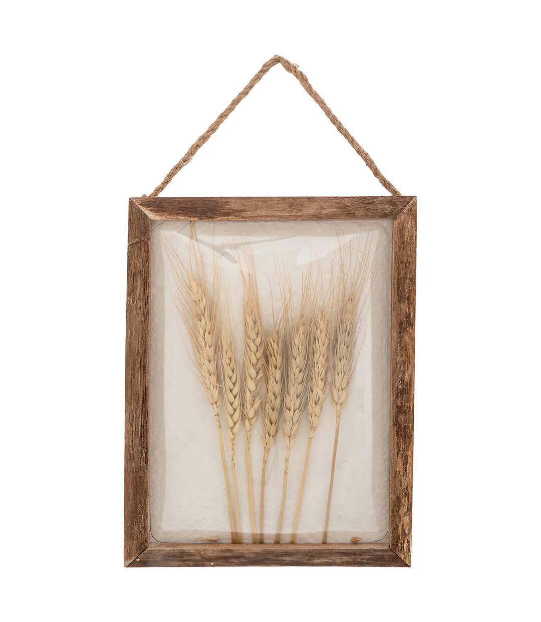 Déco Murale Bombée Blés Jonas 34cm Marron-1