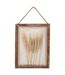 Déco Murale Bombée Blés Jonas 34cm Marron-1