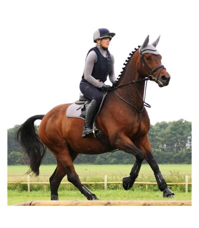 Hy Sport Active Womens/Ladies Horse Riding Tights (Midnight Navy/Pencil Point Grey) - UTBZ4608