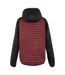 Doudoune Matelassée Rowak Homme Pourpre Foncé Noir Regatta-3