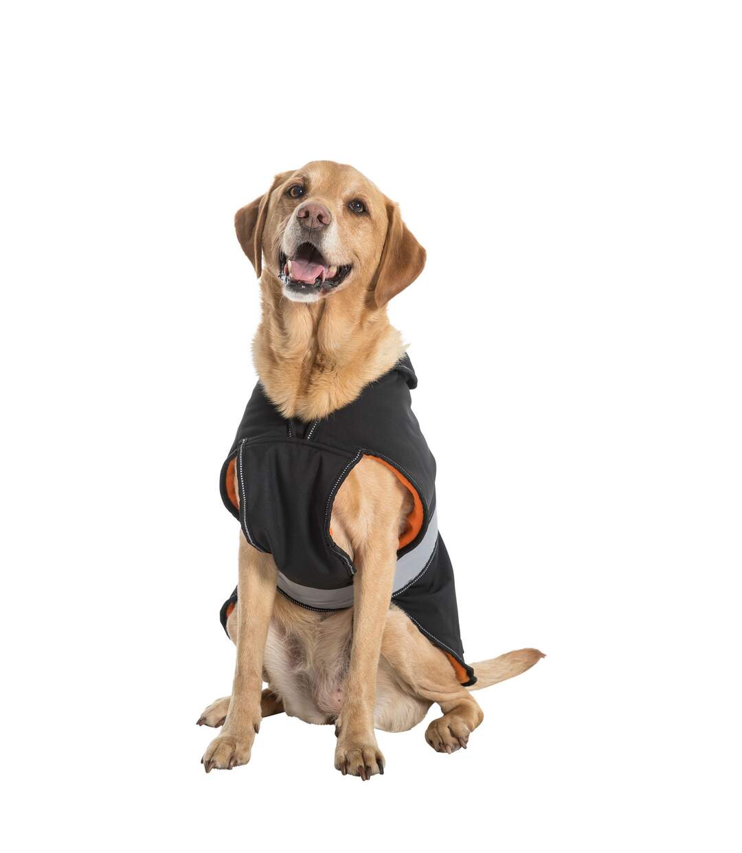 Butch touch fastening softshell dog jacket xs black Trespass-4