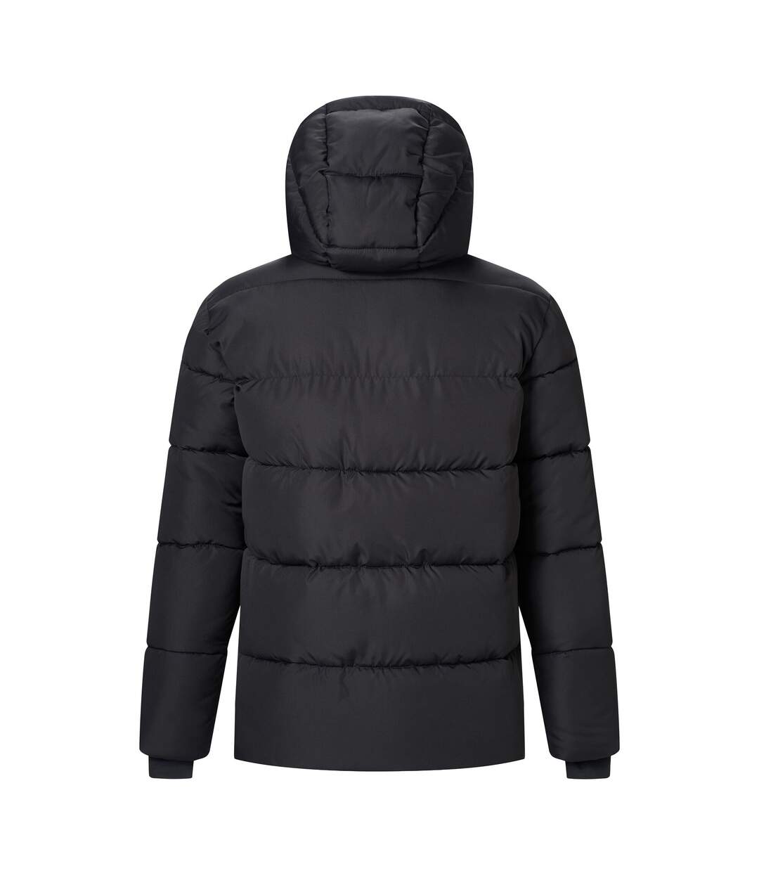 Doudoune Matelassée Marek Homme Noir Aiguille De Pin Regatta-3
