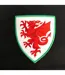 T-shirt Homme Noir Wales Cymru-3