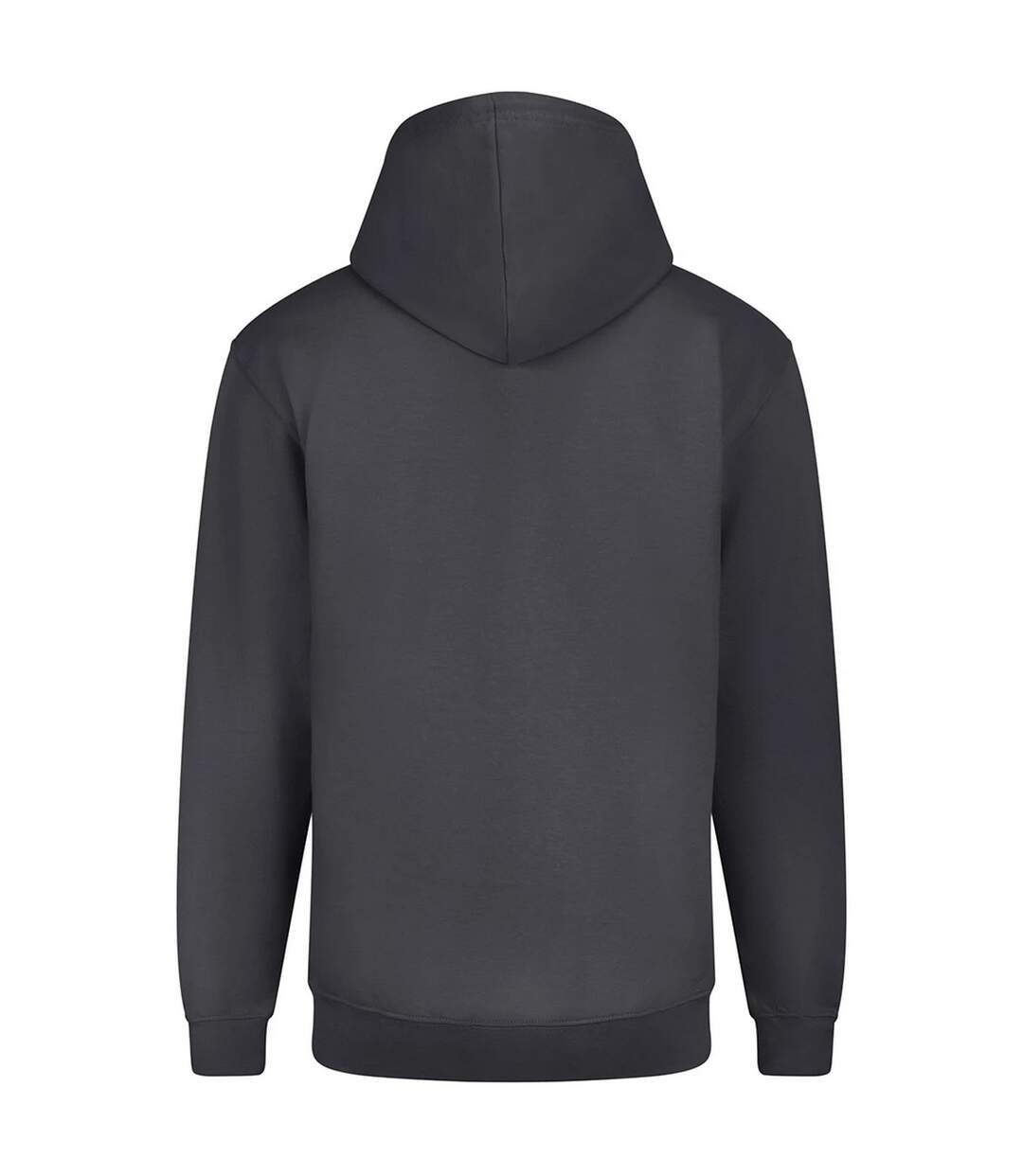 Veste À Capuche Motif/style Uni Homme Charbon Uni Awdis-2