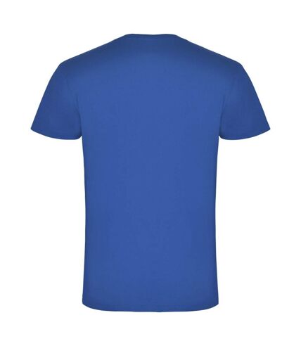 Roly Mens Samoyedo V Neck T-Shirt (Royal Blue) - UTPF4231
