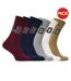 Lot De 6  Chaussettes Motif/style Universitaire Adulte Marron Chameau Crème Bleu Marine Ralph Lauren-1