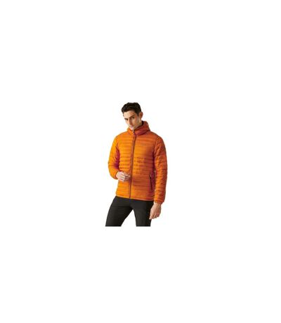 Mens Hurden Padded Jacket Fox Regatta