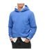 Sweat à Capuche Superdry Essential Logo-1