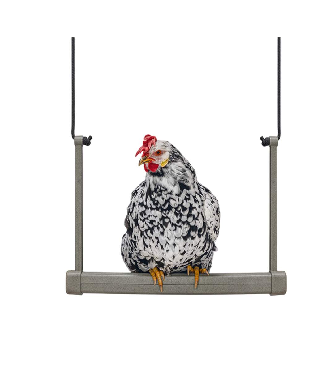 Chicken recycled plastic swing one size grey Gaun-2