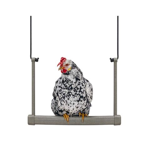 Chicken recycled plastic swing one size grey Gaun