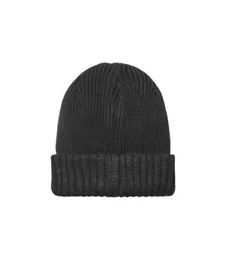 Mens Waterproof Cold Weather Roll Cuff Beanie Hat