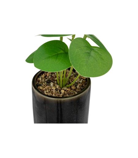 Plante Artificielle en Pot Reac 16cm Noir & Vert