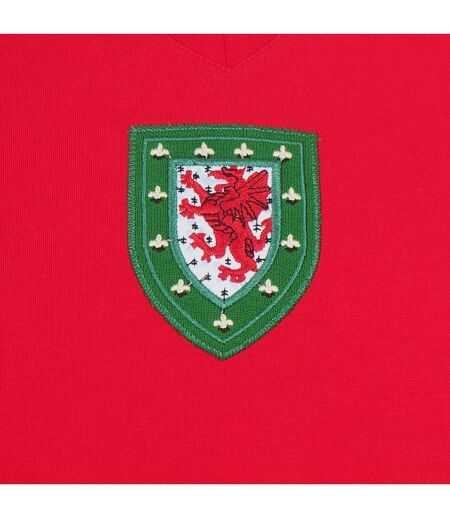 Maillot Extérieur Motif/style Rétro John Toshack Homme Rouge FA Wales
