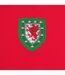 Maillot Extérieur Motif/style Rétro John Toshack Homme Rouge FA Wales-3