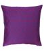 Paoletti Louvre Cushion Cover (Skydiver/Camellia) (One Size) - UTRV1348