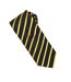 Cravate Taille Unique Noir Jaune Or Premier-2