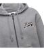 Womens/ladies Sanyo Full Zip Hoodie Grey Boss X Russel-2
