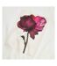 T-shirt Motif/style Floral Femme Blanc Cassé Ted Baker-4