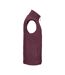 Veste Sans Manches Extérieur Homme Bordeaux Russell-3
