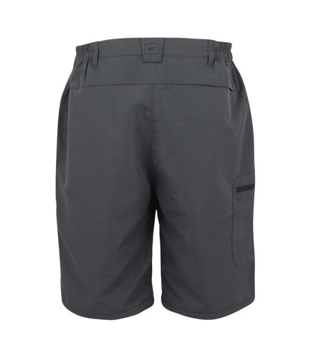 Pantalon de randonnée chaska femme gris phoque Regatta