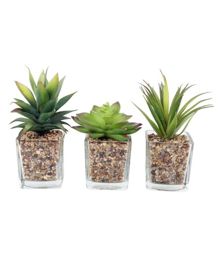 Plantes artificielles dans pot en verre 6.5 x 6.5 x 17 cm (Lot de 3)