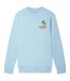 Sweat Motif/style Brodé Coachella Valley Adulte Bleu Ciel Casablanca-1