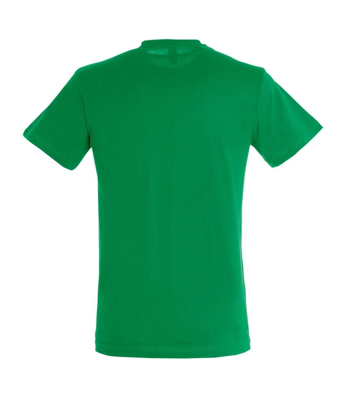 SOLS Mens Regent Short Sleeve T-Shirt (Kelly Green)