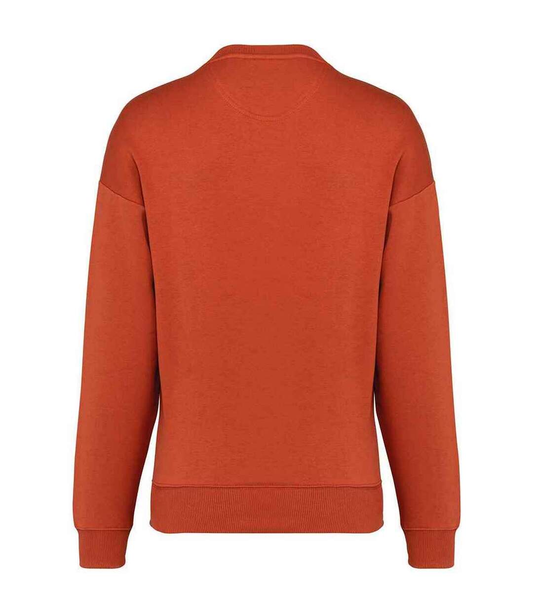 Womens/ladies oversized sweatshirt burnt brick Native Spirit-2