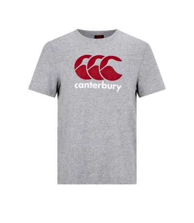 Canterbury - T-shirt - Homme (Gris / Rouge / Blanc) - UTRD1435