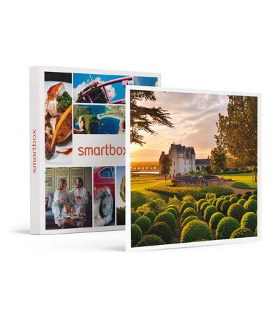 Château d'Amboise en famille : entrée coupe-file pour 2 adultes et 1 enfant - SMARTBOX - Coffret Cadeau Sport & Aventure