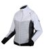 Regatta Womens/Ladies Steren Hybrid Jacket (White/Cyberspace) - UTRG9299