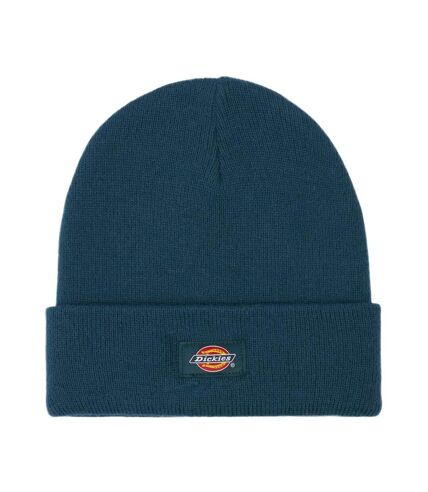 Bonnet Bleu Homme Dickies Gibsland - Taille unique