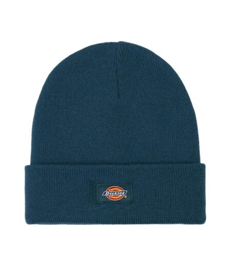 Bonnet Bleu Homme Dickies Gibsland - Taille unique