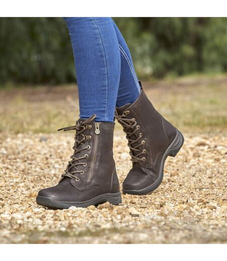 Dublin Womens/Ladies Dublin Tilly Leather Boots (Brown) - UTWB1663