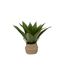 Plante Artificielle en Pot Agave 50cm Vert & Beige