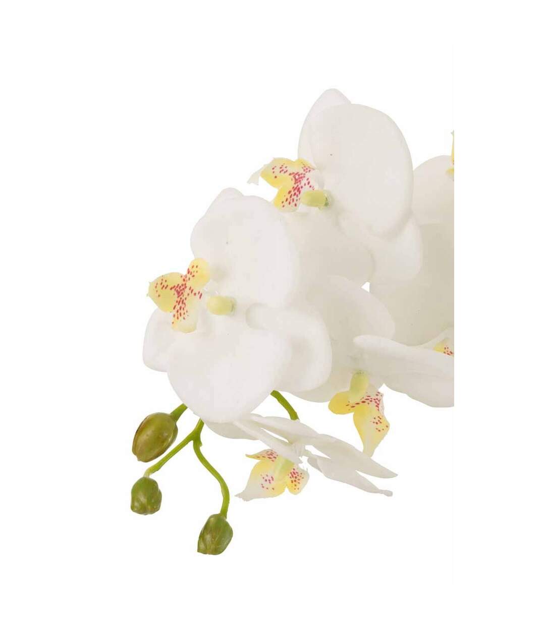 Fleur Artificielle Déco Orchidée en Terre 72cm Blanc-2