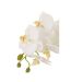 Fleur Artificielle Déco Orchidée en Terre 72cm Blanc-2