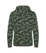 Sweat À Capuche Homme Vert Awdis-2