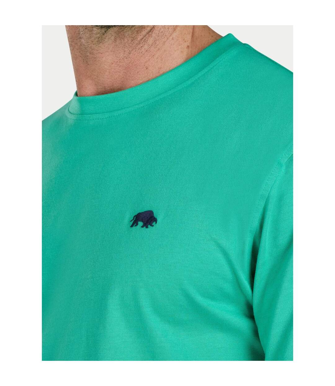 Mens Classic Organic T-shirt Green Raging Bull-4