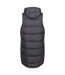 Regatta Womens/Ladies Ganella Long Length Vest (Seal Grey/Quiet Green) - UTRG9059