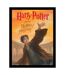 Harry Potter - Poster THE DEATHLY HALLOWS (Noir / Gris) (40 cm x 30 cm) - UTPM7443