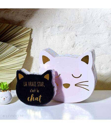 Lot de 2 boites de rangement pour enfant CAT
