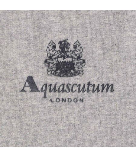 Mens Active Small Logo Hoodie Grey Aquascutum