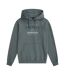 Mens River Abersoch Hoodie Green Animal-1