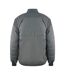 Blouson Aviateur Homme Gris Ice Iceberg-2