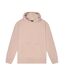 Mens Embroidered Hoodie Ash Grey Nicce-1