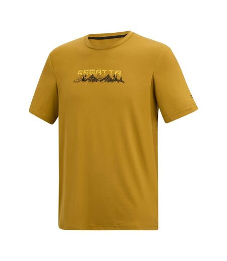 Mens Fingal Mountain T-shirt Wood Brown Regatta